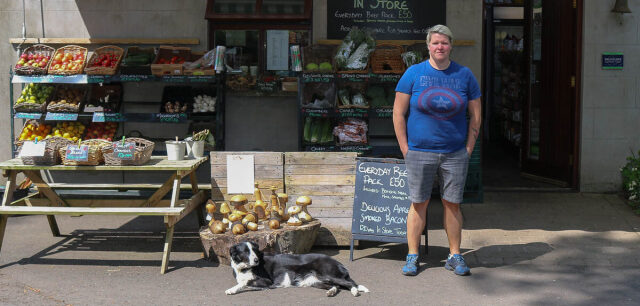 Ilse van Staden, Ireland Women's Rugby