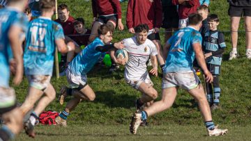 Action from the Subsidiary Shield match between Dromore High and Royal School Armagh on Saturday 24 February 2024. Photo: John McMurtry. © FRU SPORTS 2024.
