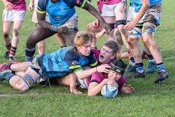 Action from the Schools Bowl match between Dromore High and Royal School Dungannon on Wednesday 29 January 2025. Photo: Cyril Boyd. © FRU SPORTS 2025.